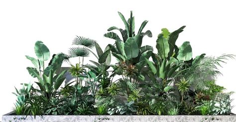 Plants Elevation, Tree Photoshop, Landscape Architecture Drawing, Courtyard Gardens Design, Pond Landscaping, 3d Landscape, Architecture Design Drawing, Architecture Collage, Ocean Wallpaper