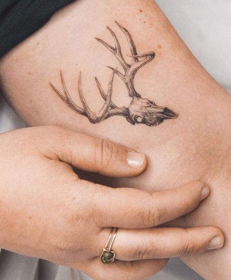 Beautiful Skull Tattoo, Deer Tattoo Design, Deer Antler Tattoos, Deer Skull Tattoo, Buck Tattoo, Deer Tattoos, Amazing Tattoo Ideas, Antler Tattoos, Elk Tattoo