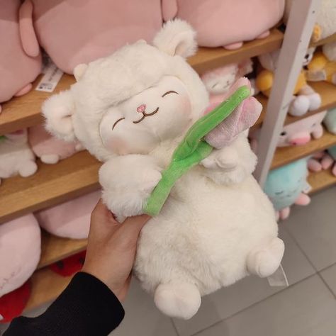 Miniso Plushies Lamb With Tulip, Smiling Lamb, Miniso Plushies, Lamb Plushie, Teddy Bear Wallpaper, Cute Lamb, Cute Squishies, Cuddle Buddy, Kawaii Plushies