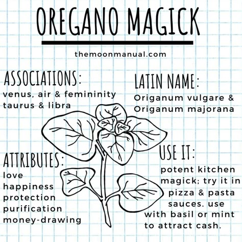 Oregano Uses Witchcraft, Oregano Correspondences, Oregano Witchcraft, Protection Plants Witchcraft, Green Witch Spells, Plant Magick, Magick Herbs, The Green Witch, Witch Spells