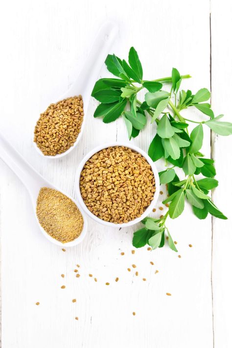 10 Best Fenugreek Substitutes in Cooking - Leaves, Seeds, and Ground Fenugreek Tea, Fenugreek Benefits, Ayurveda Recipes, Yellow Mustard Seeds, Health Fitness Food, Alfalfa Sprouts, Fenugreek Leaves, Yummy Mummy, Health Dinner