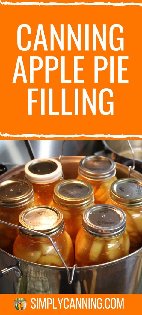 Apple Recipes For Canning, Freezing Meals, Canning Apple Pie Filling, Canned Apple Pie, Apple Pie From Scratch, Canning Apples, Apple Pie Filling Recipes, Modern Homestead, Canning Fruit