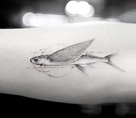 Flying Fish tattoo by Mr. K Tattoo Mr K Tattoo, Flying Fish Tattoo, Botanisches Tattoo, K Tattoo, Circle Tattoos, Wolf Tattoo Design, Flying Fish, Fish Tattoo, Sunflower Tattoos