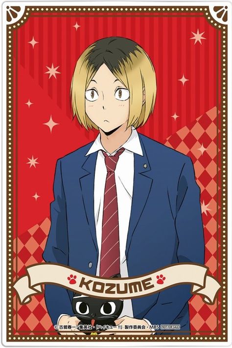 Haikyuu Characters Cards, Haikyuu Kenma, Anime Kitten, Haikyuu Volleyball, Volleyball Anime, Haikyuu Karasuno, Kenma Kozume, 캐릭터 드로잉, Haikyuu Characters