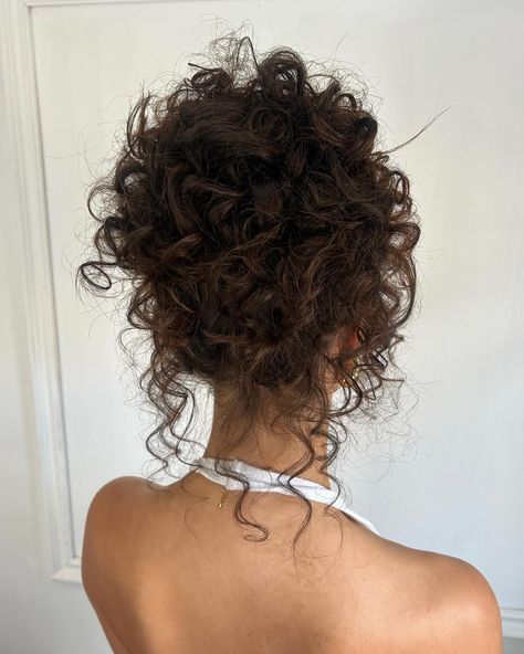 Curl Hair Hairstyles Naturally Curly, Curly Hair Updo With Braid, Elegant Hair Updos Classy, Hairstyles Curly Hair Updo, Naturally Curly Prom Hair, Curly Hair Updo Wedding Bridesmaid, Brown Curly Hair Updo, Curly Hair For Prom, Curly Hair Bun Prom