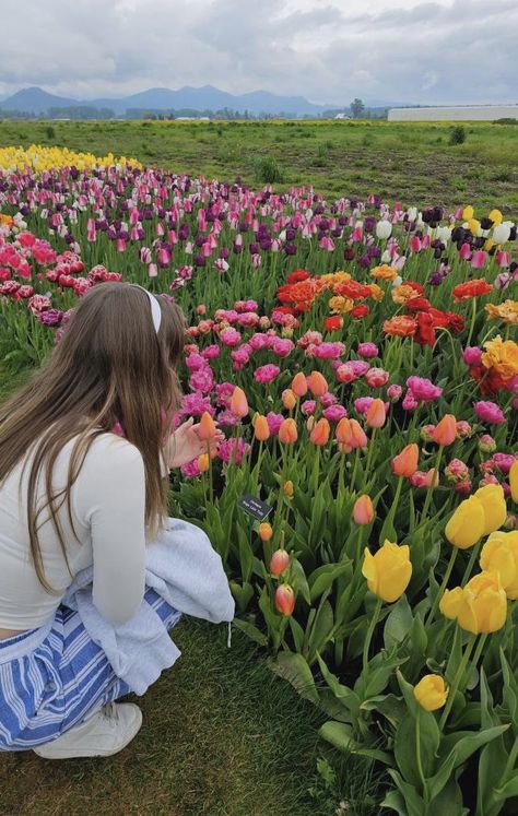 Field Of Tulips, Tulips, A Woman, Flowers