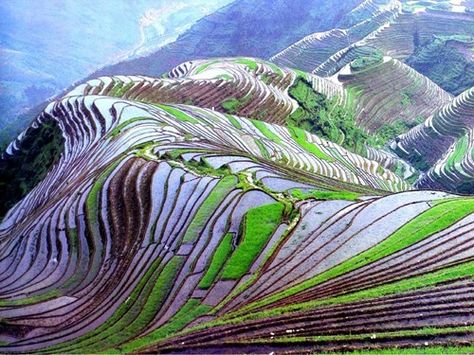 Terraced Rice Fields World Most Beautiful Place, Rice Terraces, Stairway To Heaven, Beautiful Places In The World, Incredible Places, In The Mountains, Places Around The World, Most Beautiful Places, Aerial View