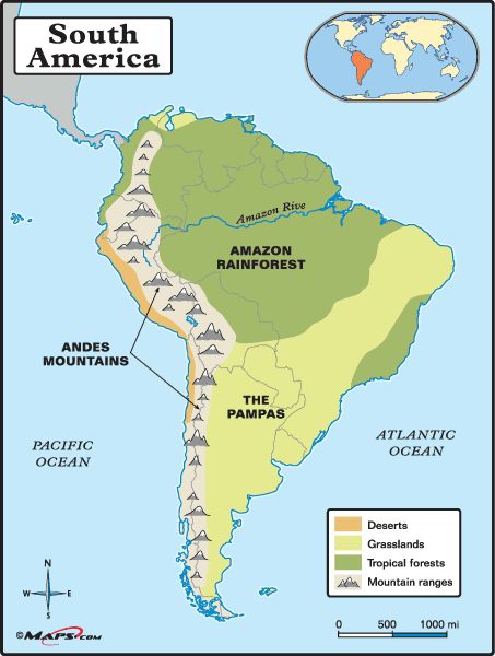 Physical map of South America very detailed, showing The Amazon Rainforest, The Andes Mountains, The Pampas grasslands, and the coastal desert. Amazon River Map, Physical Map Of South America, The Amazon River, Amazon Rainforest Map, Rainforest Map, Rainforest Project, Rainforest Activities, River Map, Rainforest Theme