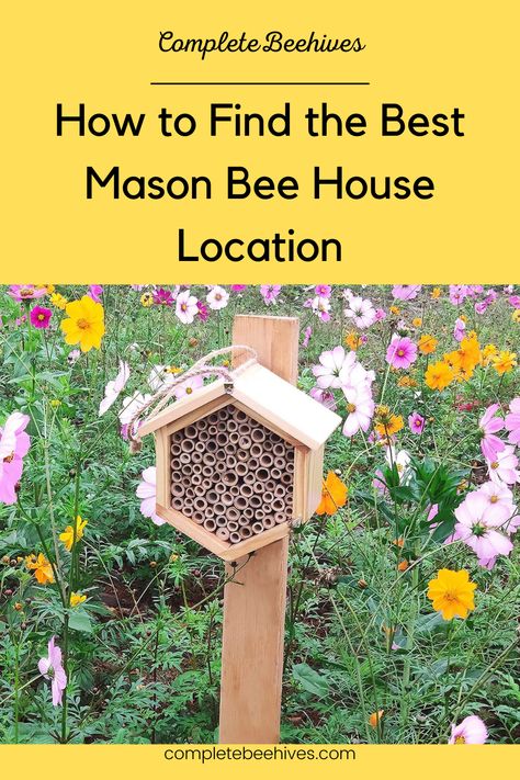 Bumble Bee House, Attract Bees To Garden, Mason Bees Keeping, How To Attract Bees To Your Garden, Diy Bee House, Mason Bee House Diy How To Build, Mason Bee House Diy, Blue Orchard Mason Bees, Backyard Wonderland