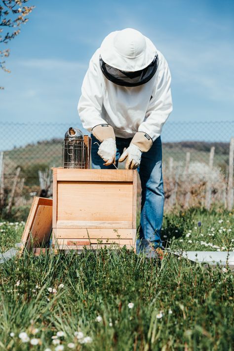 If you are a beginner beekeeper here are supplies you need! How To Keep Bees, Honey Production, Bee Safe, Types Of Bees, Beekeeping For Beginners, Life Is Hard Quotes, Backyard Beekeeping, Beekeeping Equipment, Beekeeping Tools