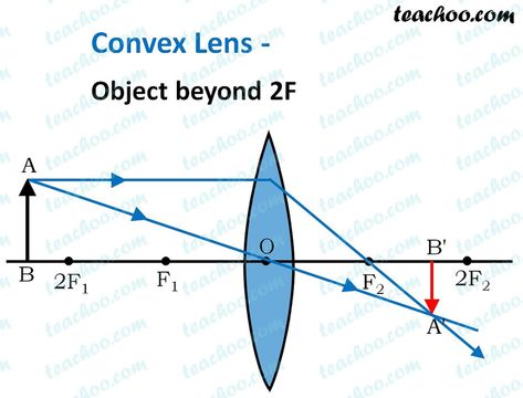 Convex Lens - Ray diagram, Image Formation, Table - Teachoo Convex Lens, Biology Facts, Line Chart, Physics