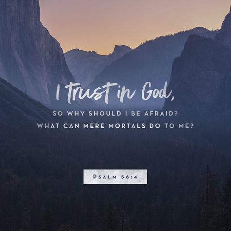 I trust in God, so why should I be afraid? What can mere mortals do to me? Vertrouw Op God, Psalm 56, Trust In God, Ayat Alkitab, Study Tools, I Trust, Praise God, God First, Daily Bible