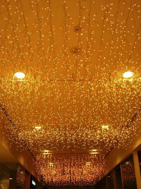 Christmas Lights Decorations On Ceiling Christmas Lights Inside, Indoor Christmas Lights, Christmas Lights Outside, Christmas Light Installation, Hanging Christmas Lights, Christmas Fairy Lights, Lights Ideas, Balayage Ombré, Traditional Colonial