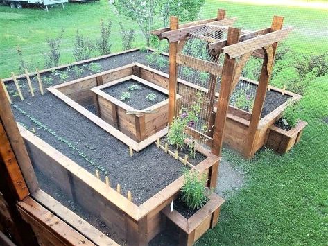 Vegetable Garden Design With Seating, Raised Garden Bed Materials, Backyard Garden Layout Design, Raised Garden Beds Layout, Raised Planters, Elevated Garden, Garden Bed Layout, Raised Bed Garden, Small Backyard Landscaping Ideas