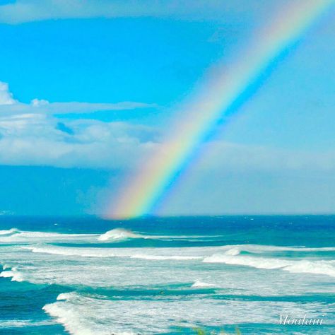 “Ready or not here I come!” | playful children eyewear Seeing things differently since '14. We give back. Come play with us! ⭐️ hideplayseek.com Rainbow Ocean, Rainbow Images, Rainbow Beach, Rainbow Rocks, Under The Rainbow, Rainbow Photo, Hd Nature Wallpapers, Rainbow Magic, Turtle Beach