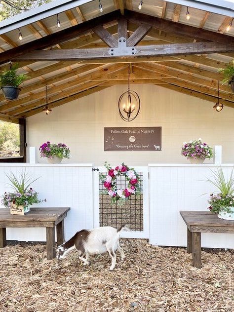 Chickens And Goats Together, Cute Goat House, Mobile Home With Metal Roof, Shed With Overhang Porch, Chicken And Goat Pen, Backyard Goat Pen Ideas, Farm Animal Enclosures, Goat Stalls In Barn, Goat Waterer Ideas