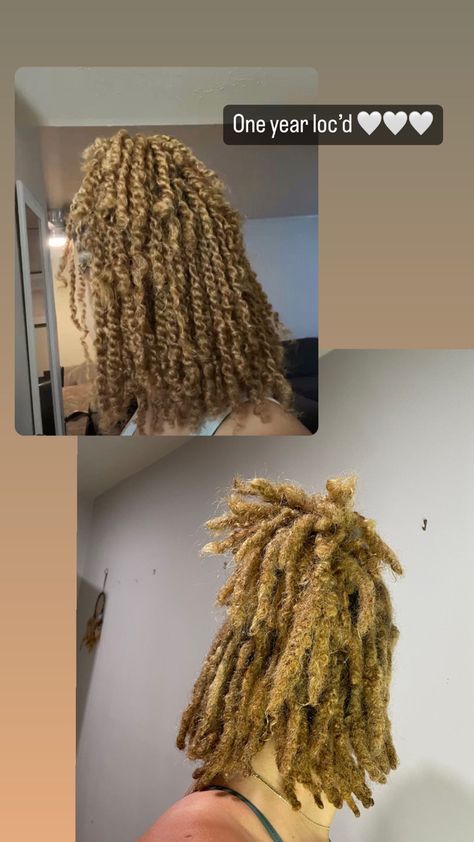 Twist Starter Locs Two Strand, Two Stand Starter Locs, Small Starter Locs, Two Strand Locs, 2 Strand Twist Starter Locs, Starter Locs Two Strand Twist, Two Strand Twist Starter Locs, Twist Starter Locs, Loc Inspiration