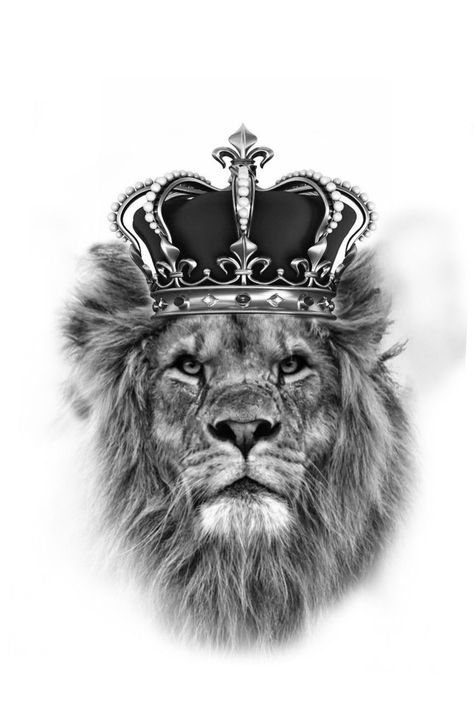 Lion With Crown Tattoo Design, Lion Crown Tattoo, Lion With Crown Tattoo, Crown Hand Tattoo, Lion With Crown, Forearm Cover Up Tattoos, Big Cat Tattoo, Jaguar Tattoo, Lion Cubs