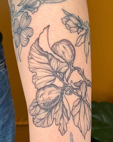 Mary Black | Fresh fig branch next to some healed patchwork flowers for Amelia 🥰 great seeing you! | Instagram Fig Tattoo, Ems Tattoos, Branch Tattoo, Fresh Figs, Fig, Body Art, Tattoos, Flowers, Instagram