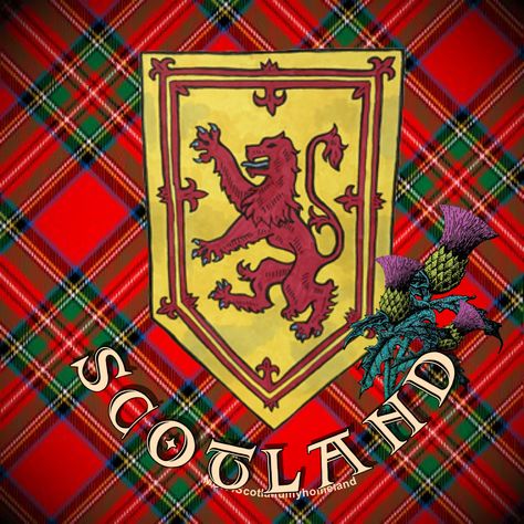 Scottish Interiors, Family Ancestry, William Wallace, Scottish Ancestry, Scotland History, Celtic Heritage, Scotland Forever, Scottish Clans, Celtic Art