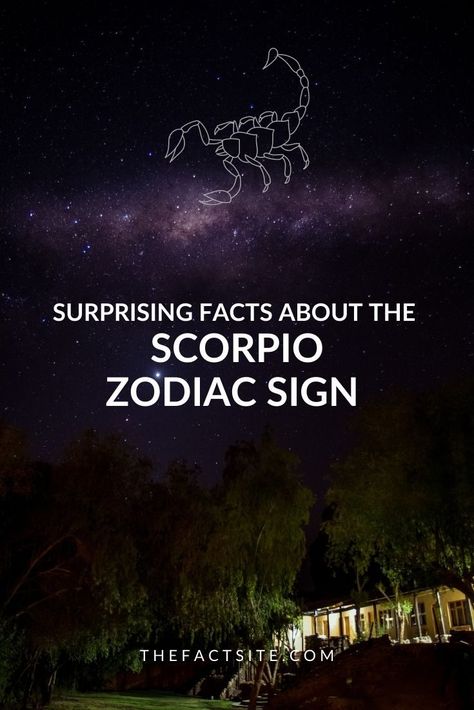 November Born Facts, Scorpion Horoscope, October Scorpio, Famous Scorpios, Scorpio Astrology, Science Homework, High Emotional Intelligence, Famous Sisters, Libra And Sagittarius