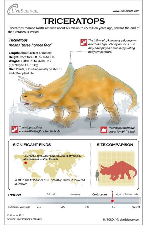 Types Of Dinosaurs, Tattoos Outdoors, Prehistoric Animals Dinosaurs, Outdoors Quotes, Dinosaur Facts, Cretaceous Period, Prehistoric World, Dinosaur Activities, Educational Infographic