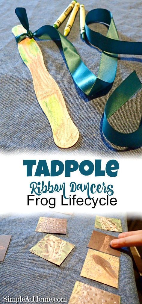 Frog lifecycle and tadpole ribbon dancer Frog Art Preschool, Frog Science, Reptiles Preschool, Amphibians Activities, Tadpole To Frog, Pond Life Theme, Ribbon Dancer, Frogs Preschool, Process Art Preschool