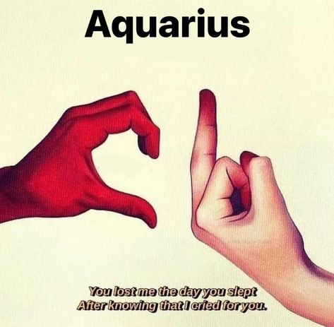 Aquarius Core, Aquarius Funny, Aquarius Vibes, Aquarius Leo, Zodiac Cusp, Zodiac Signs Pictures, Pisces Aquarius, Aquarius Aesthetic, Astrology Meaning