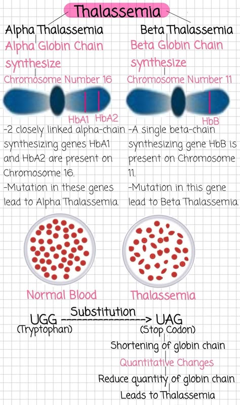 Malaria Notes, Mendelian Genetics Notes, Hematology Notes, Medtech Notes, Biotechnology Notes, Medical Biology, Biology Jobs, Nursing School Studying Cheat Sheets, Neet Notes