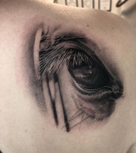 Horse With Mountains Tattoo, Horse Tattoo Realism, Horse Arm Tattoos For Women, In Memory Horse Tattoo, Animal Eye Tattoo, Horse Arm Tattoo, Horse Eye Tattoo, Horse Portrait Tattoo, Horse Memory Tattoo