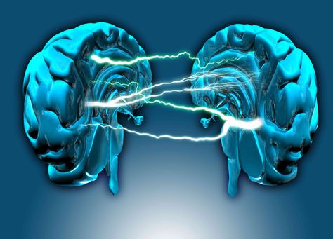 Are right-brained thinkers more creative and left-brained thinkers better at math and logic? Learn whether right brain vs. left brain differences actually exist. Left Brain Vs Right Brain, Left Brain Right Brain, Brain Quiz, Introverted Sensing, Intp Personality Type, Conceptual Artwork, Left Brain, Brain Learning, Intp Personality