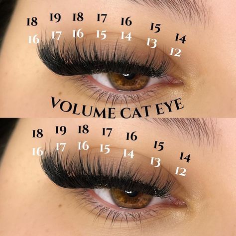 Cat Eye Mapping, Eye Mapping, Wispy Cat Eye, Lash Glue Remover, Pro Lash, Lash Maps, Lashes Tutorial, Lashes Fake Eyelashes, Eyelash Tips