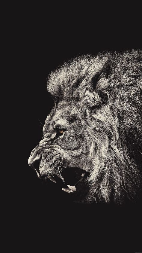 (3) 50 Phone Wallpapers (All 1080x1920, No watermarks) - Album on Imgur Lion Wallpaper Iphone, Tiger Sketch, Black And White Lion, Lion Wallpaper, Male Lion, Church Stage, Scratch Art, Hd Wallpaper Iphone, Lion Of Judah