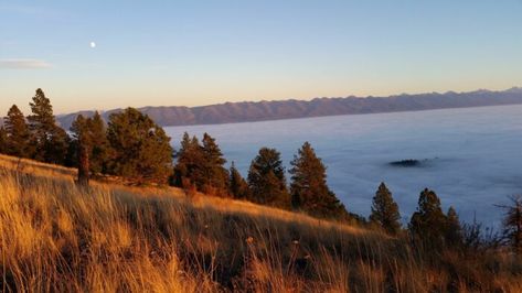 3 Scenic Hiking Trails Surround The Small Town Of Polson, Montana Montana Nature, Montana Hiking, Radio Tower, Montana Travel, Flathead Lake, Big Sky Country, Beautiful Forest, Road Trippin, Mountain Lake