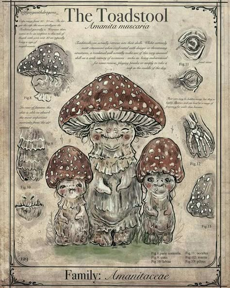 Drawing Mushrooms, Magical Creatures Mythology, Mystical Creatures Mythology, Herbarium Art, Fantasy Creatures Mythology, Mushroom Illustration, Mythical Monsters, Fantasy Creatures Art, Fairytale Art