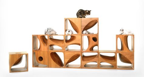 CATable 2.0 keeps your munchkins busy in satisfying their oddity Cat Playground Outdoor, Cat Tree Designs, Cat Cube, Interesting Furniture, Chat Diy, Loft Stil, Cat Playground, Eco Friendly Furniture, Wooden Cubes