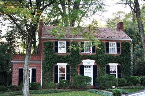 The Truth Behind Ivy-Covered Houses - The Glam Pad Ivy On House, Climbing Ivy, Southern Mansions, Black Shutters, Glam Pad, Virginia Creeper, Miss Mustard Seed, White Door, Pale Blonde