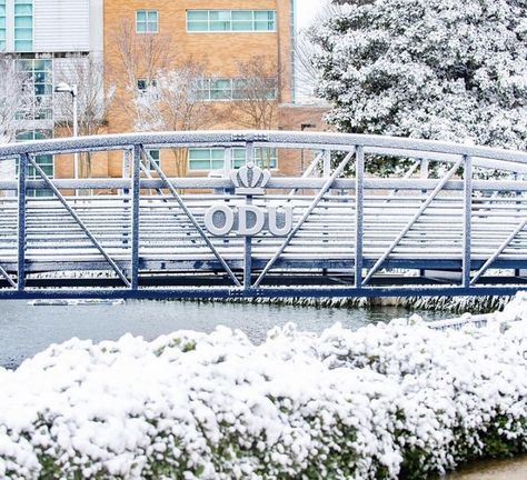 Dream Dorm Room, Old Dominion University, Dream Dorm, College Ideas, College Essentials, Old Dominion, University Campus, Manifestation Board, Norfolk