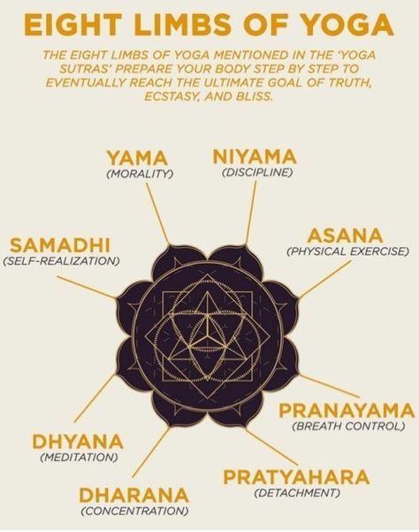 Limbs Of Yoga, Eight Limbs Of Yoga, 8 Limbs Of Yoga, Yoga Girls, Yoga Ashtanga, Yoga Nature, Arte Yoga, Ashtanga Vinyasa Yoga, Yoga Sutras