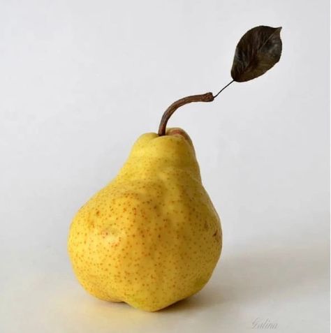 Pear Character, Still Life Photography Ideas, Creative Still Life Photography, Object Study, Pear Photo, Creative Still Life, Postcard Illustration, Still Life Pictures, Vintage People