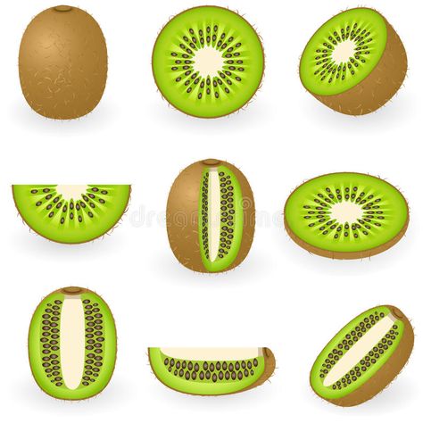 Kiwi. Vector illustration of kiwi fruit , #Sponsored, #Vector, #Kiwi, #illustration, #fruit, #kiwi #ad Kiwi Fruit Drawing, Image Kiwi, Kiwi Vector, Fruit Drawing, Interior Design Bohemian, Fruits Drawing, Harry Styles Poster, Lino Art, Kids Painting