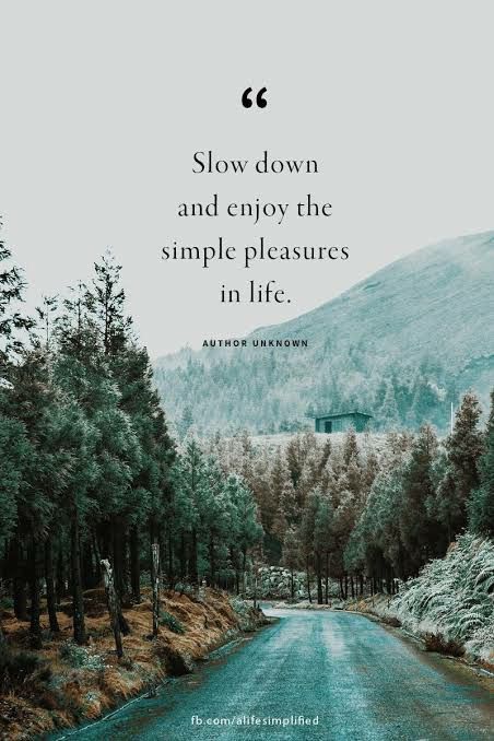 Slow down and enjoy Enjoy Nature Quotes, Quotes Short Simple, Simple Life Quotes, Nature Quotes Adventure, Quotes Short, Super Quotes, Adventure Quotes, Ideas Quotes, Trendy Quotes