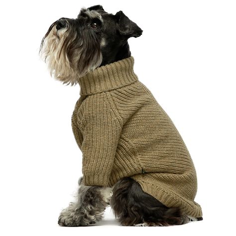 PRICES MAY VARY. DO NOT fit any medium or large dog breeds. Please priority follw the chest size. Size Large, fits 14" back, 18" chest. Recommended for Spaniel Westie, Pug, Boston Terrier Made of 20% fleece and 80% chemical fiber.Perfect to protect the skin of your pet. Super-soft, thermal fabric keeps your pets toasty warm, while the thick turtleneck type offers extra warmth to the neck. With high-quality fabric details. Perfect for formal occasions, wedding and birthday parties, Christmas and Fall Dog Outfits, Cute Dog Sweaters, Male Dog Clothes, Dog With Clothes, Doggie Sweaters, Dog In Sweater, Dogs Wearing Clothes, Dogs Outfits, Cute Dog Outfits