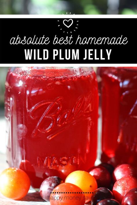 Wild Plum Jam Recipe, Wild Plum Jelly Recipe, Wild Plum Jelly, Plum Jelly Recipe, Jelly Homemade, Fruit Jelly Recipe, Jam Preserves, Plum Jam Recipes, Canning Peaches