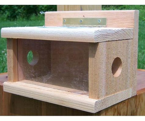 Simple Wood Projects For Kids, Simple Wood Projects, Bird Feeder Plans, Meal Worms, Front Yard Decor, Cedar Posts, Bird Houses Ideas Diy, Squirrel Feeder, Bluebird House