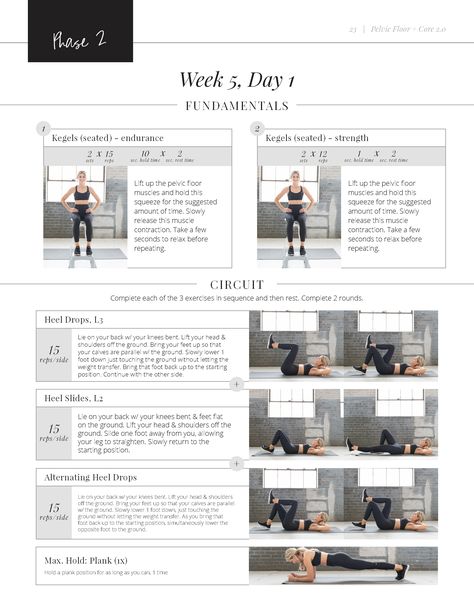 Pelvic Floor + Core Plan 2.0: Day 1 Sample Workout - Lauren Gleisberg Core Exercises For Women, Weight Training Plan, Pregnancy Workout Plan, Lauren Gleisberg, Pelvic Floor Dysfunction, Pelvic Floor Exercises, Weight Training Workouts, Workout Days, Core Training