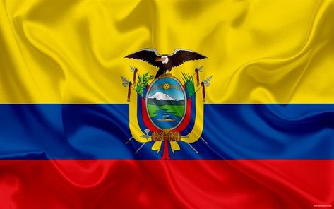 Equador Flag, American Flag Facts, Flag Of Ecuador, Ecuadorian Flag, South America Flag, Ecuador Flag, Cuenca Ecuador, Lion Photography, Quito Ecuador