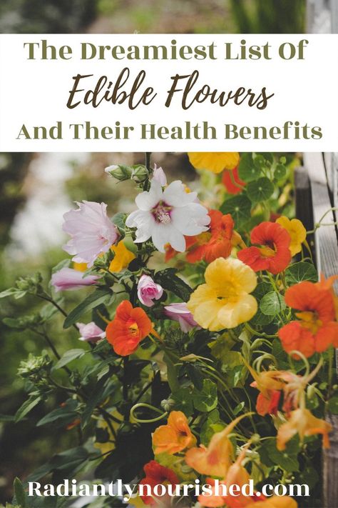 edible flowers list of Guide To Edible Flowers, Edible Flower Bouquet, Edible Flowers List Of, Healthy Food Coloring, Flower Pastry, Flowers List, Eatable Flowers, Edible Flower Garden, Healthy Food Art