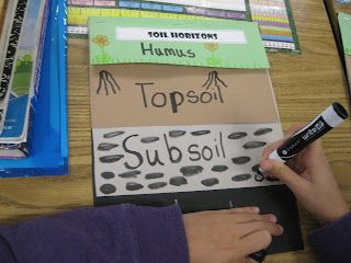 Third Grade Thinkers: Science: A Soil Study-Layers of Soil Soil Grade 3 Science, Soils In The Environment Grade 3, Soil Formation 3rd Grade, Soil Activities, Science Plants, Georgia Regions, Grade 3 Science, First Grade Science, Third Grade Science