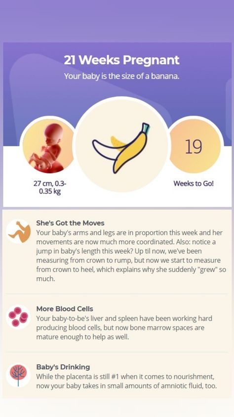 21weeks Pregnant, 21 Weeks Pregnant, 27 Weeks Pregnant, Baby Countdown, Maternity Essentials, Fetal Movement, Pregnancy Week, Pregnancy Essentials, Mommy Time